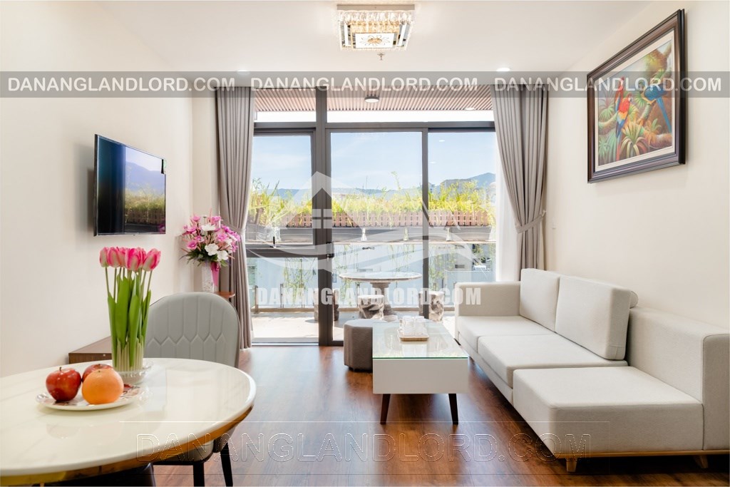 Nice 1 bedroom apartment in Son Tra – C492