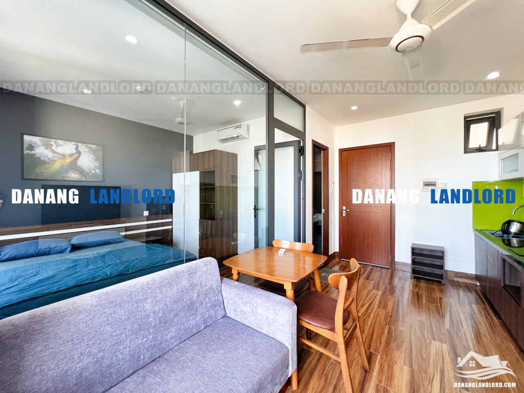 1 bedroom apartment with sea view in Khue My Dong area – C300