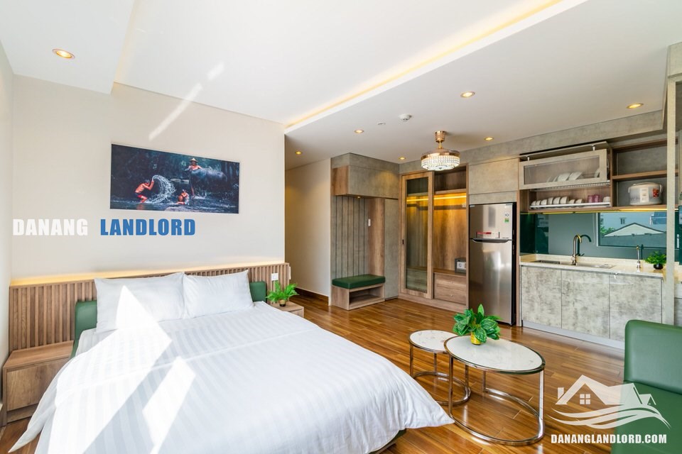 Fantastic Studio apartment near Dragon Bridge – A565