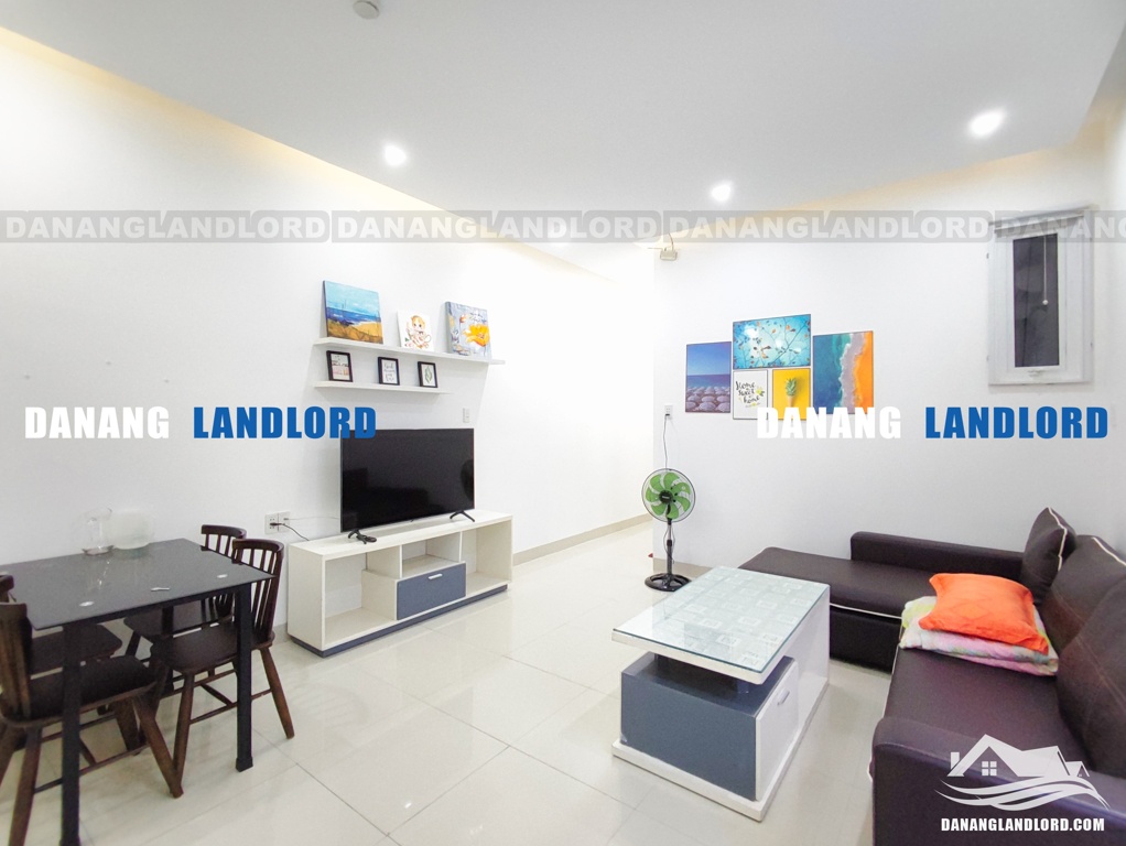 Spacious 1 bedroom apartment in An Thuong area – C292