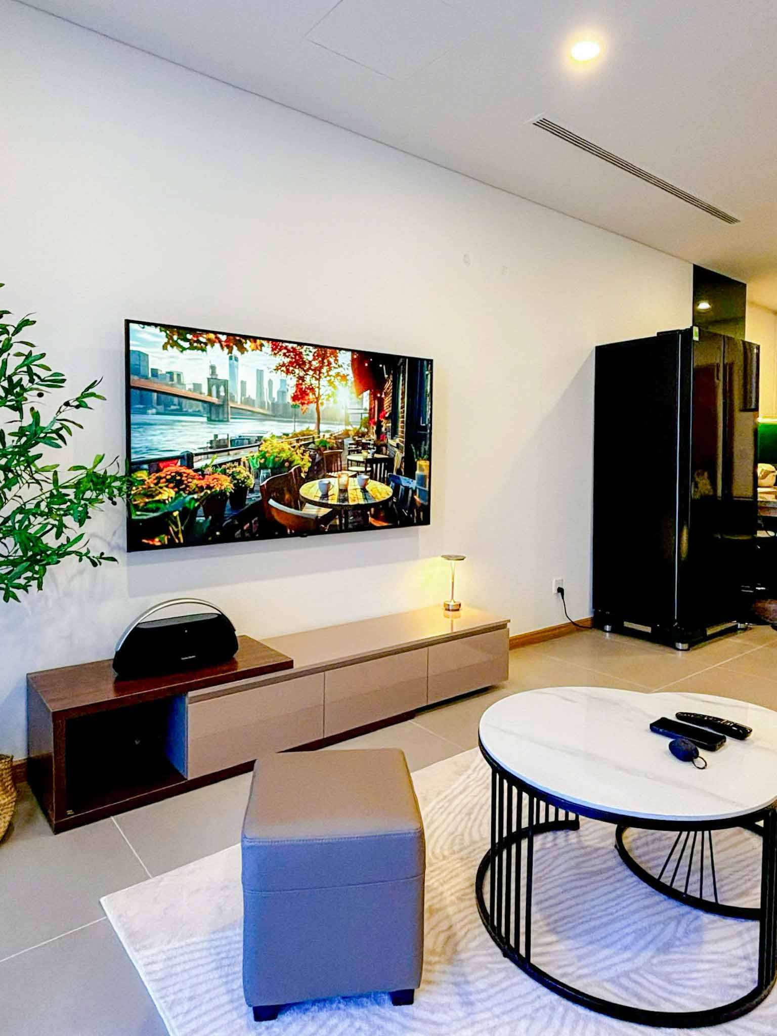 One bedroom apartment near Vincom Plaza – A215