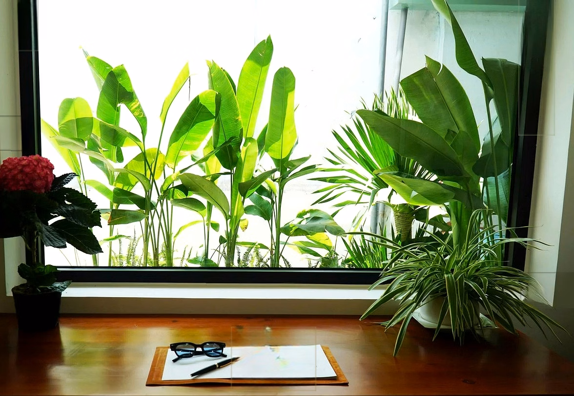 2 Bedroom Villa for Rent in Son Tra, Da Nang